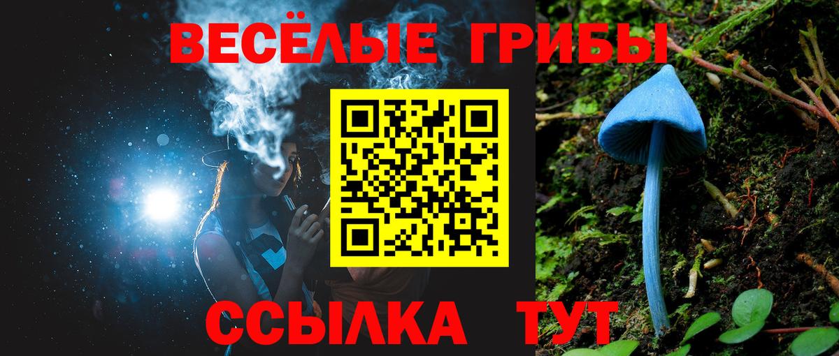 Галлюциногенные грибы мицелий Фролово