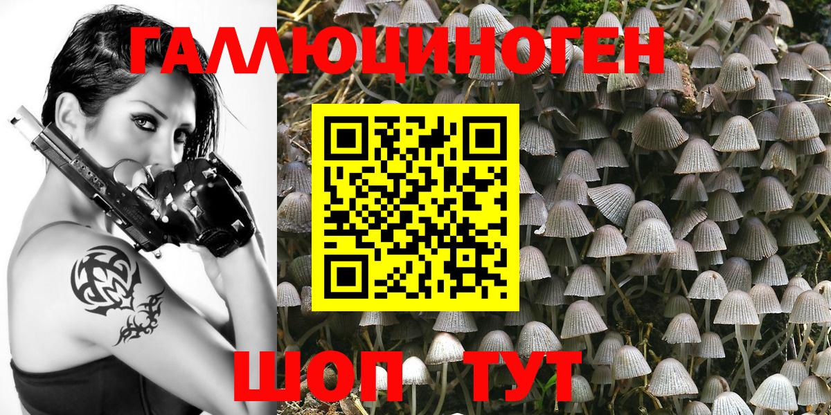 Галлюциногенные грибы Psilocybe  цена наркотик  Фролово  Вход с VPN 